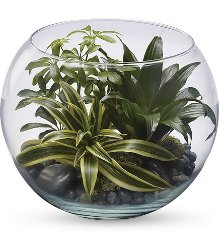 Sphere Of Tranquility Terrarium from Racanello Florist in Stamford, CT